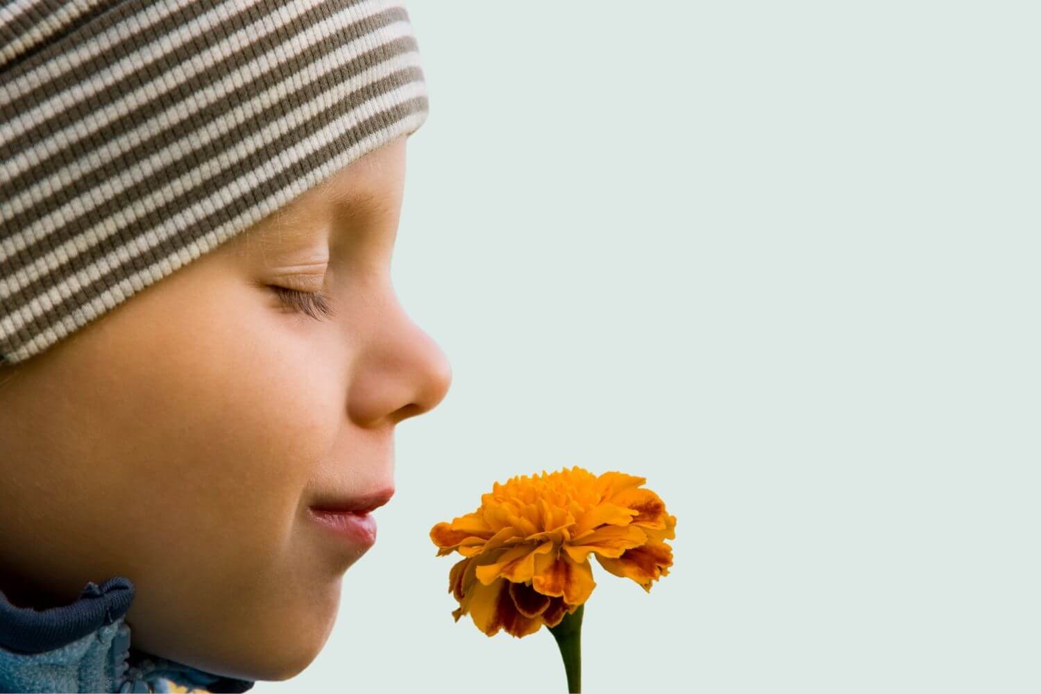 boy wearing striped hat smelling orange flower