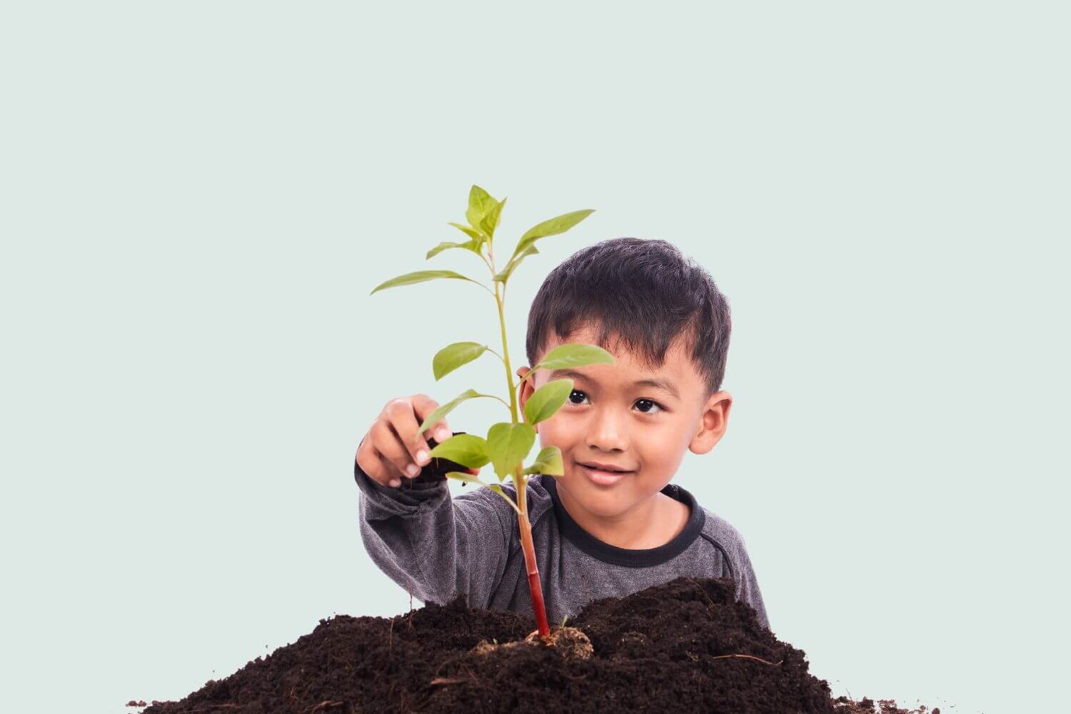 little boy touching plant in dirt