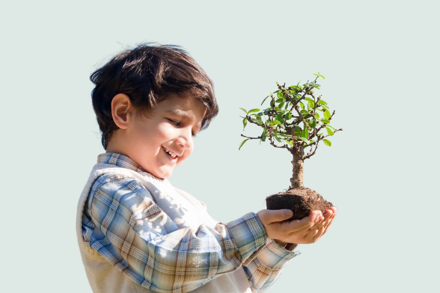 young boy holding tree seedling