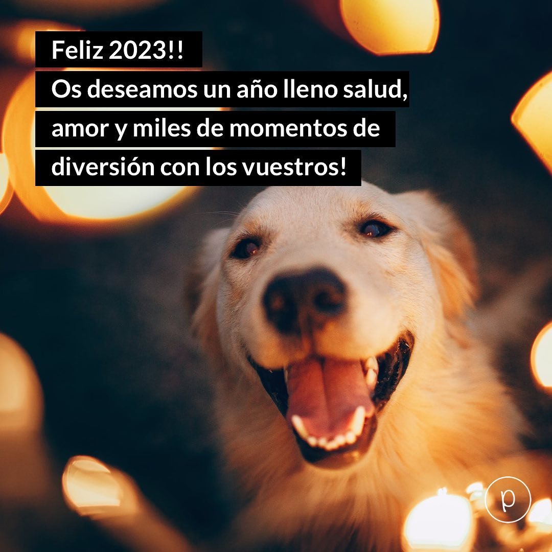 Feliz a&ntilde;o 🎊 🥳🐶🐱!!!! Nuestros mejores deseos para el 2023. 

 #perro #gatos #tiendaveterinaria #veterinaria #feliza&ntilde;o #2023