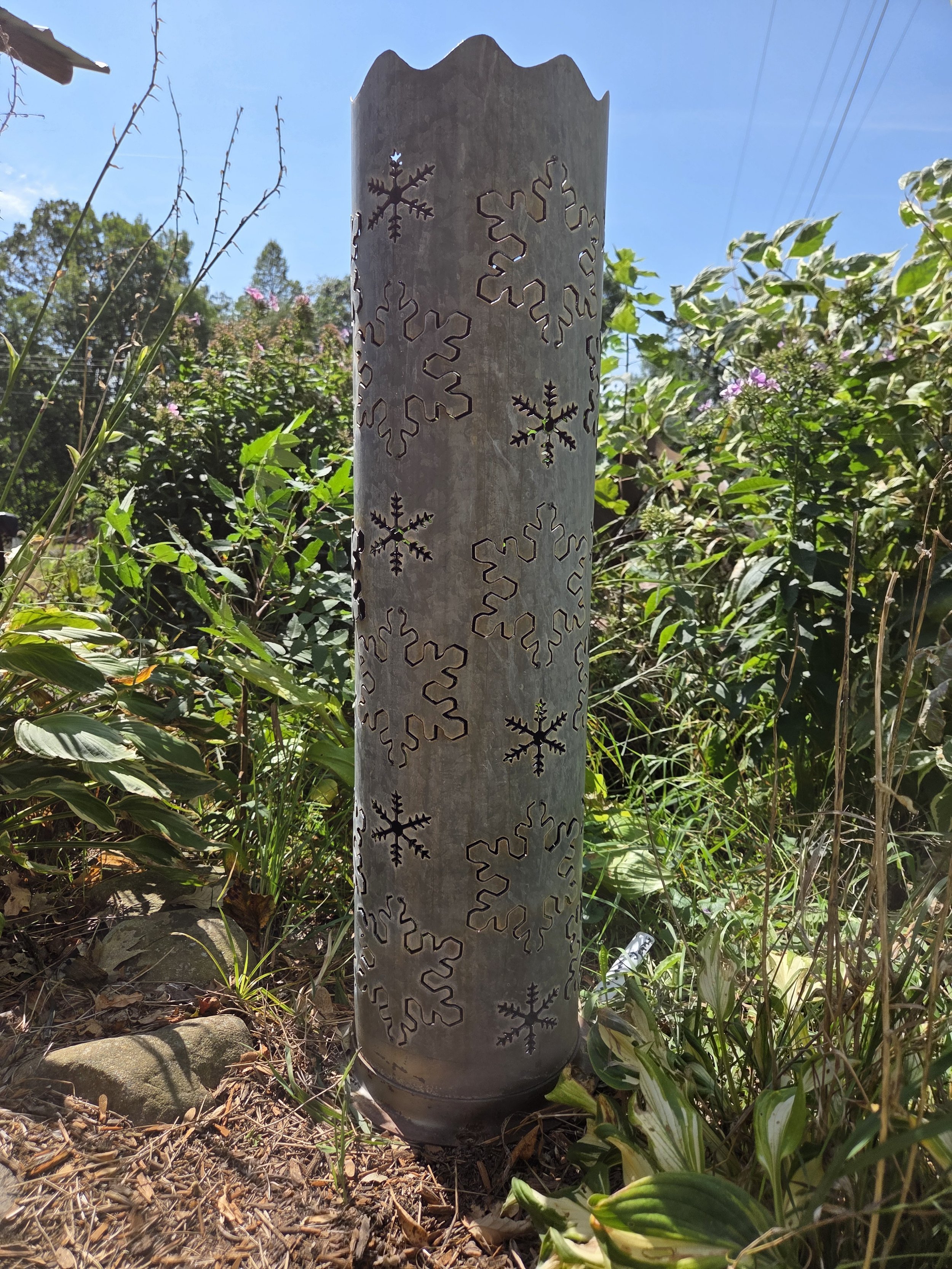 1000016945.jpg
