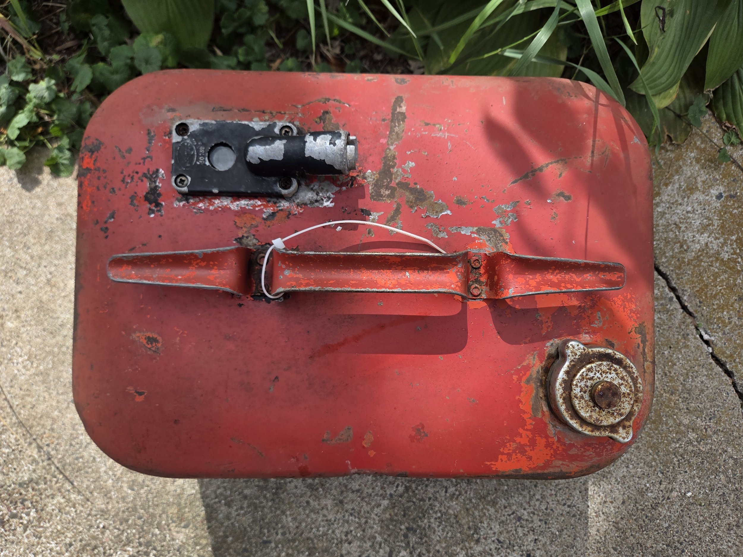1000016677.jpg