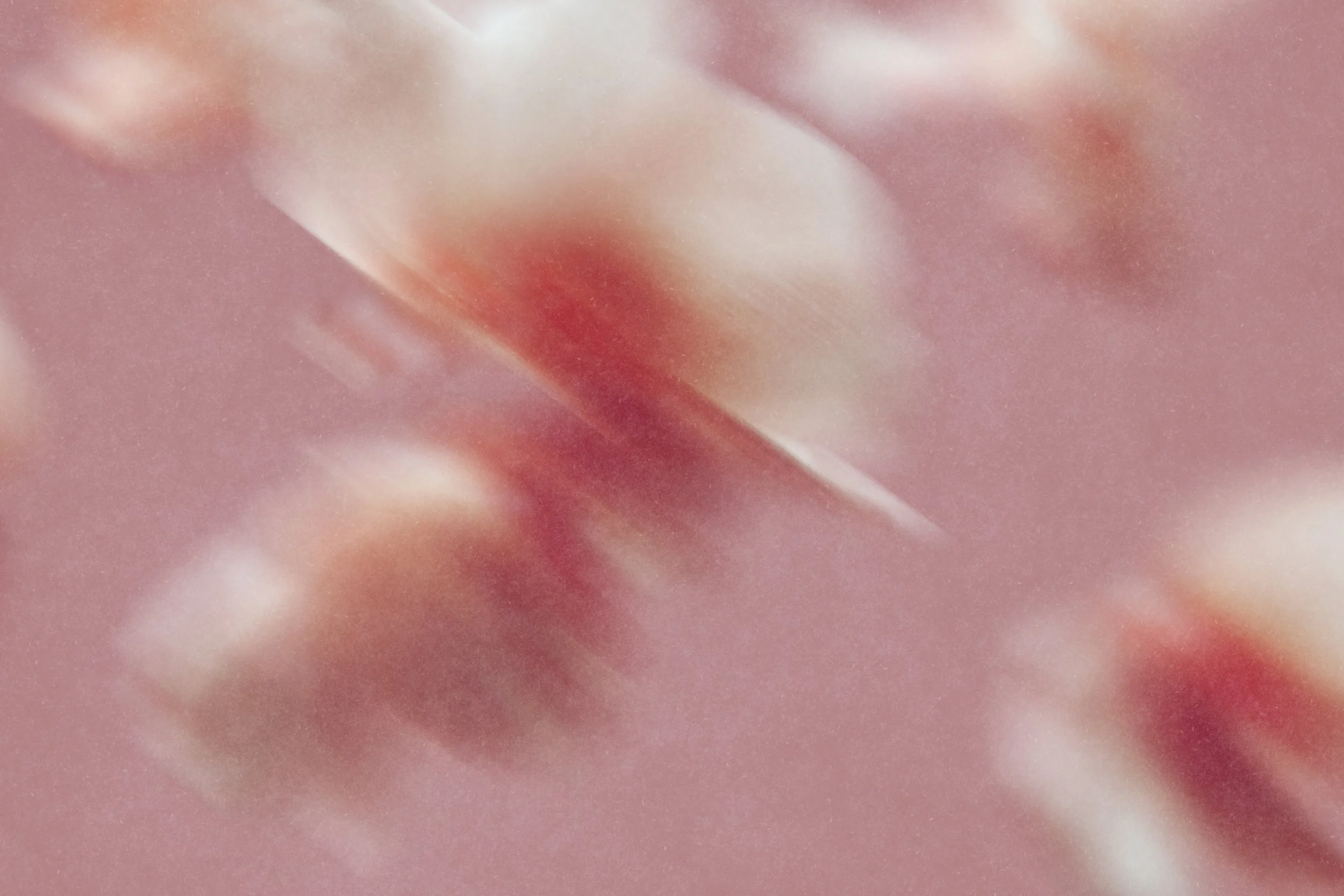 Close-up of pink, white, and peach-colored petals with soft, blurred edges.
