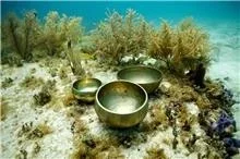 bowls+on+bimini+road.jpg.webp