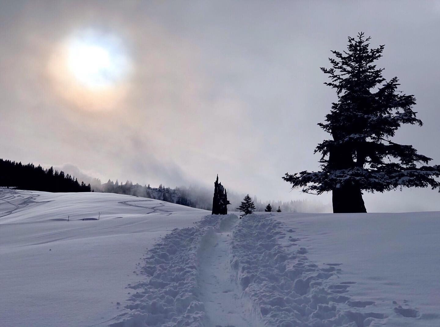 🌥 Mystisch war&rsquo;s am Sonntag im Karwendel. Wir haben es erfolgreich geschafft, den Massen zu entfliehen und hatten dieses sch&ouml;ne Fleckchen Erde mit viel unverspurtem Pulverschnee beinahe f&uuml;r uns. ☃️

#skitouring #mystic #beautifullnat