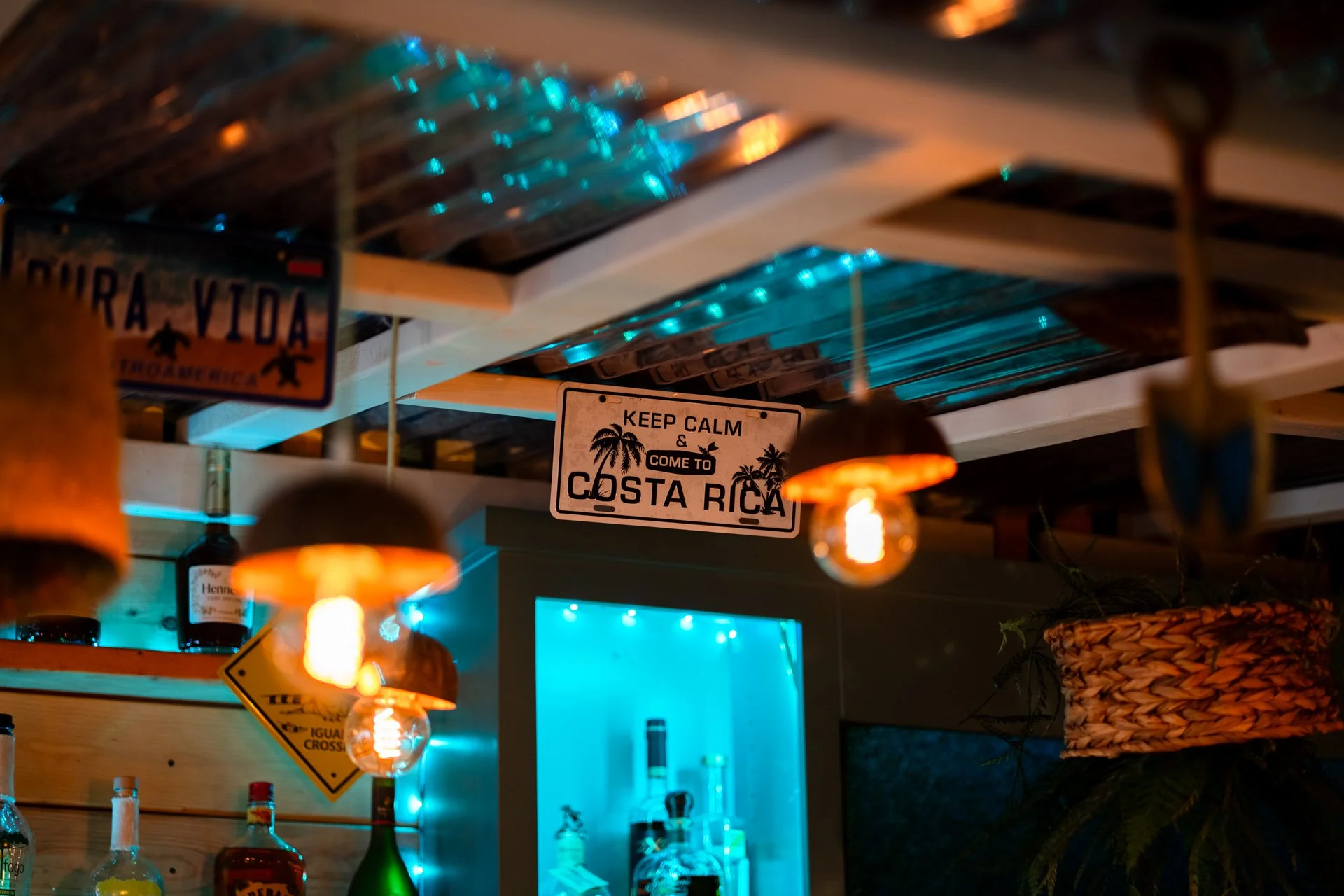 bar4.jpg