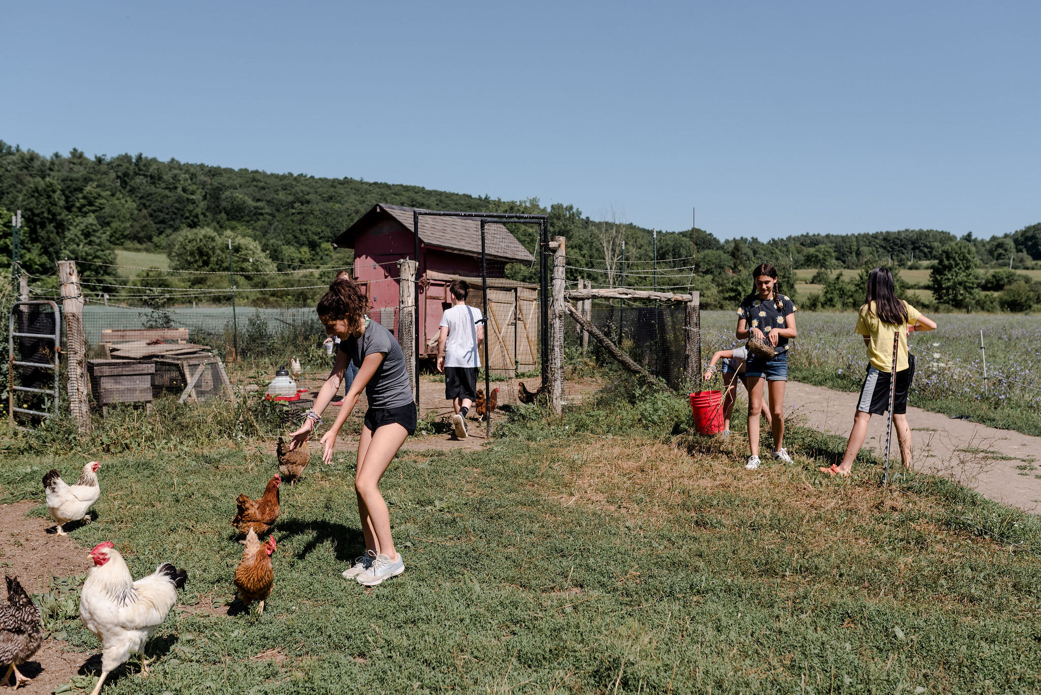 Hawthorne-Valley-Farm-2019-08-Kids-Camp-Lawrence-Braun-0185-LB2_3371.jpg