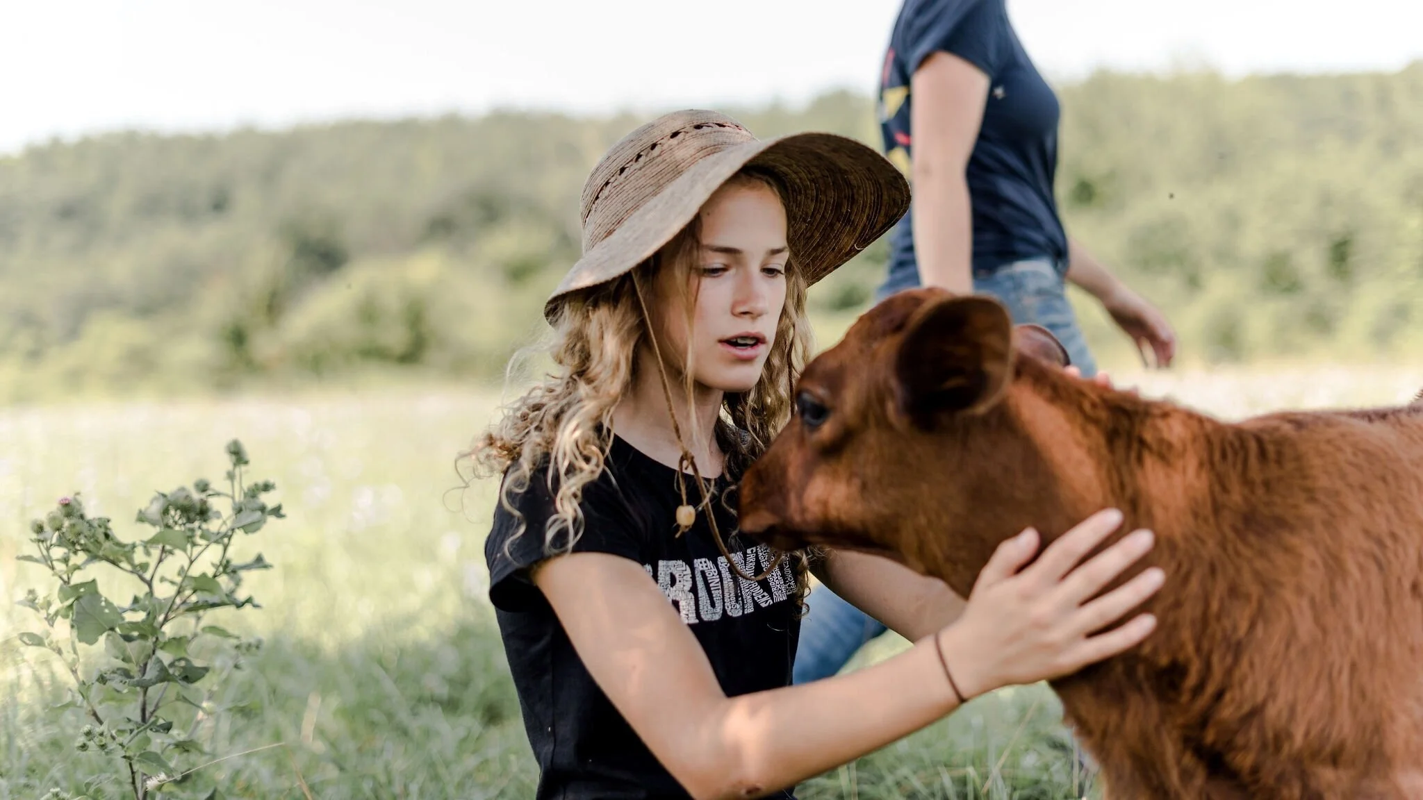 Hawthorne Valley Farm