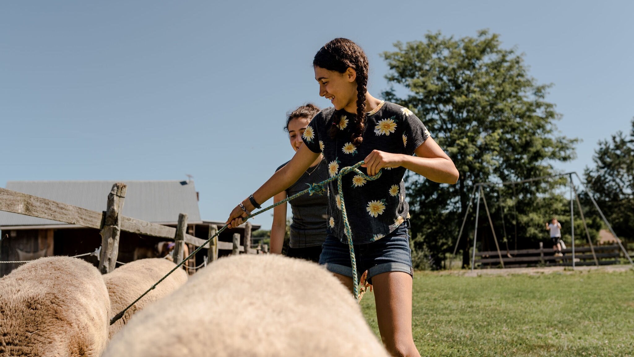Hawthorne Valley Farm