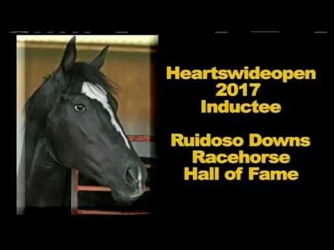 Heartswideopen 2017