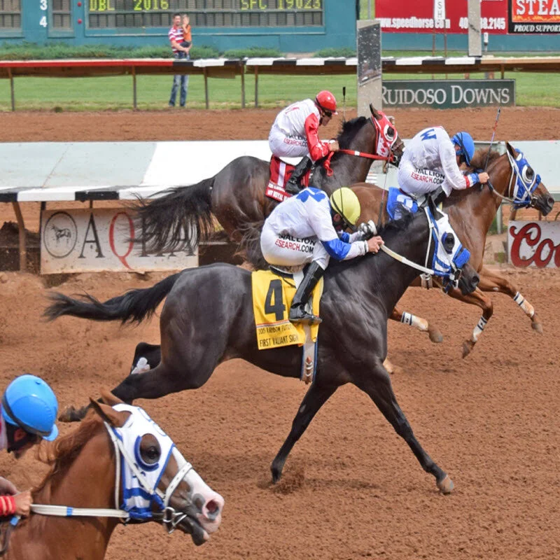 2015 Rainbow Futurity Winner