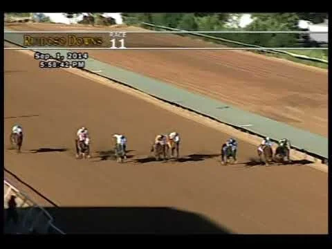 2014 All American Futurity