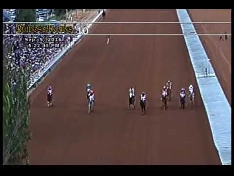 2016 All American Futurity