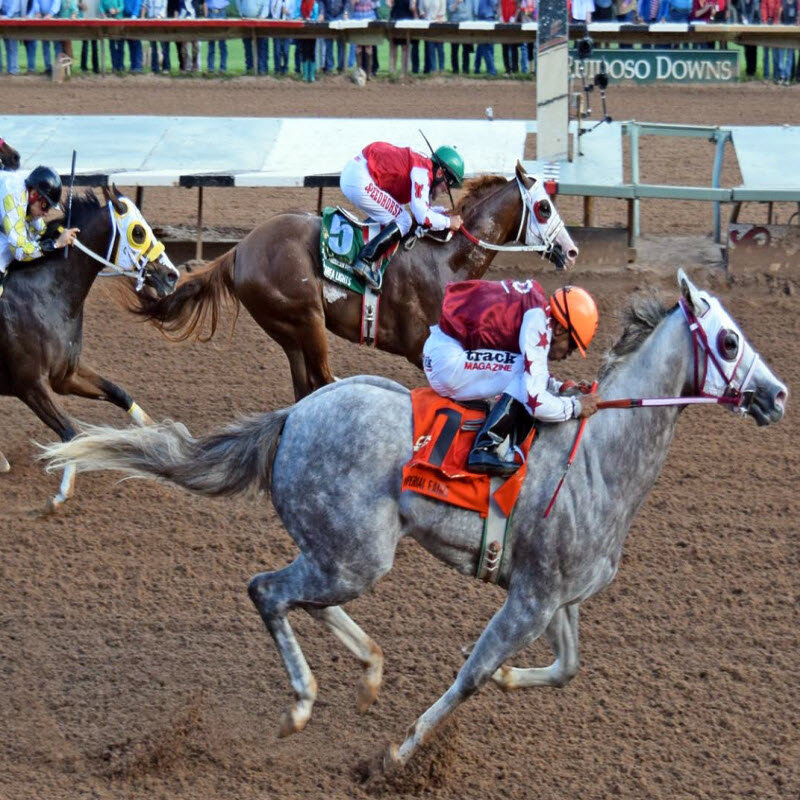 Photo Gallery All American Futurity Winners — Ruidoso Downs Race Track