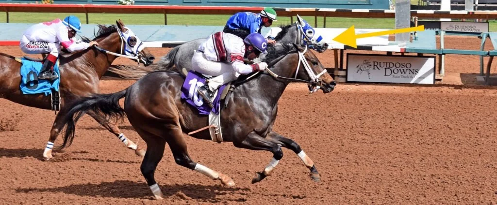 2019 Ruidoso Derby
