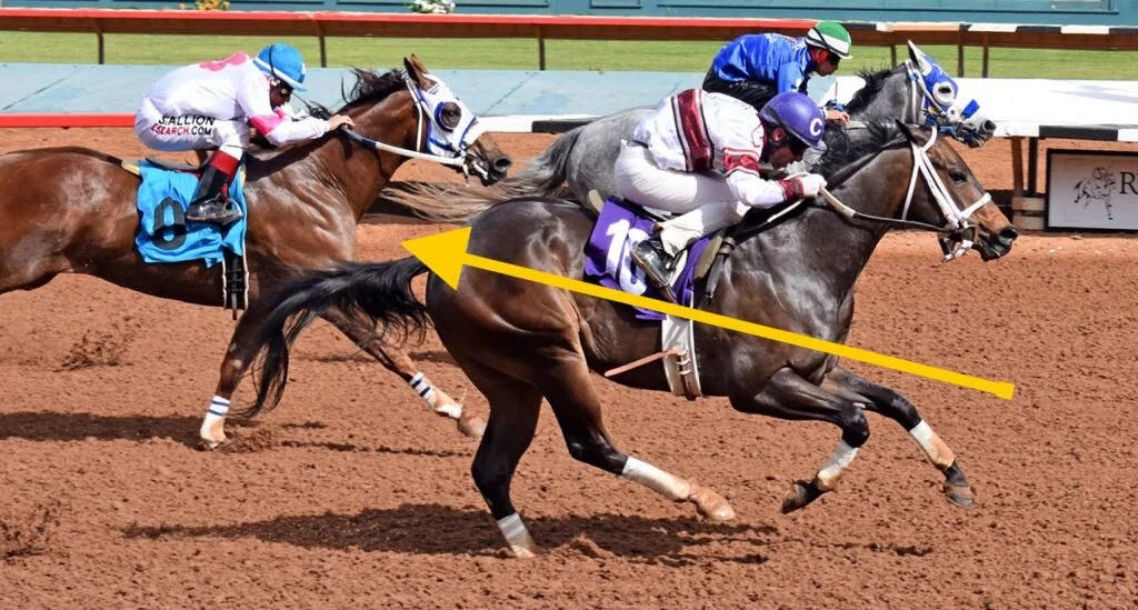 2019 Ruidoso Derby