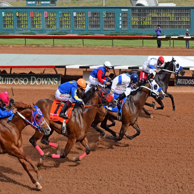 2015 Ruidoso Futurity Winner