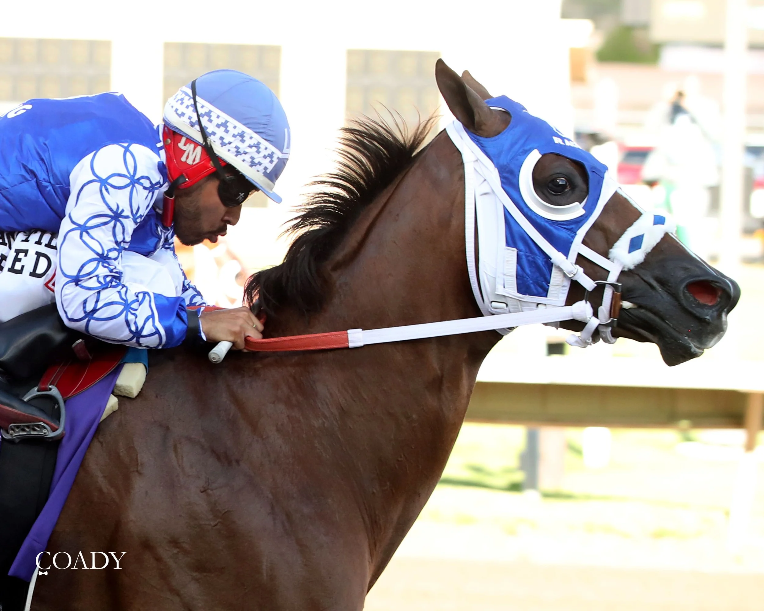 KARMALITES - All American Quarter Horse Oaks-G1 - 09-01-25 - R08 - Ruidoso Downs - Finish 02 - Victoria Salazar.jpg