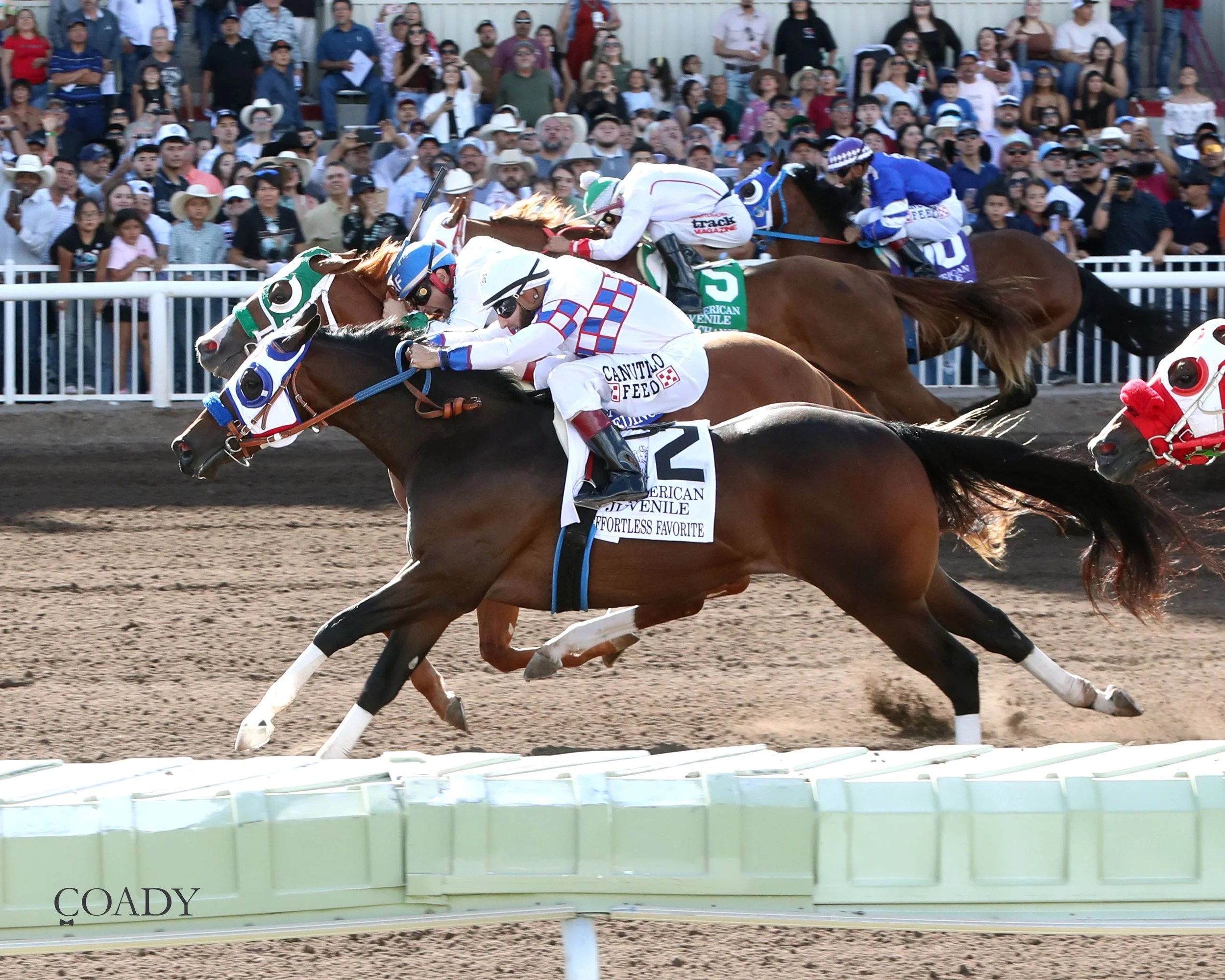 EFFORTLESS FAVORITE - All American Juvenile Stakes - 09-01-25 - R07 - Ruidoso Downs - Inside Finish 01 - Shawn Coady.jpg