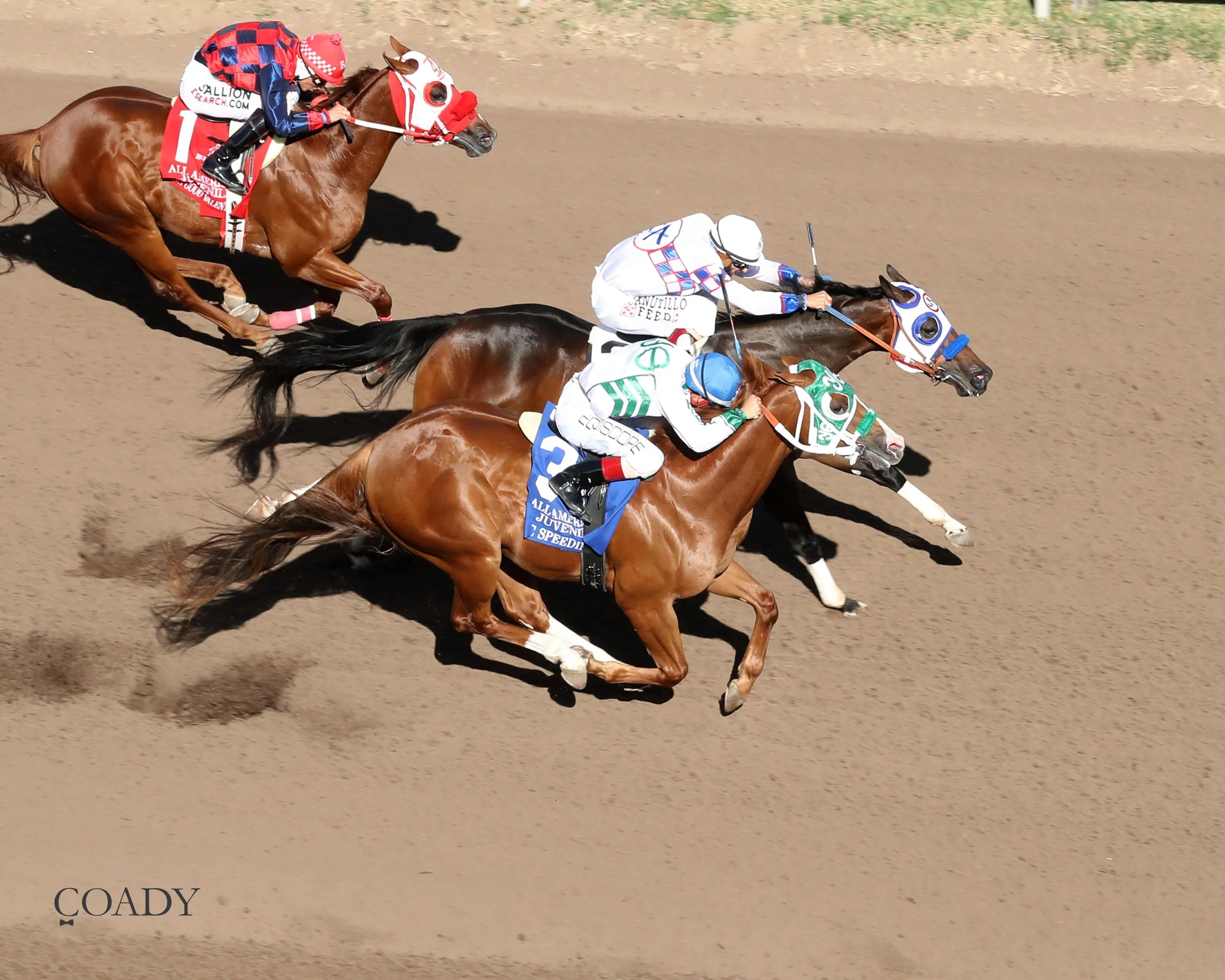 EFFORTLESS FAVORITE - All American Juvenile Stakes - 09-01-25 - R07 - Ruidoso Downs - Aerial Finish 01 - Corey Jaramillo.jpg