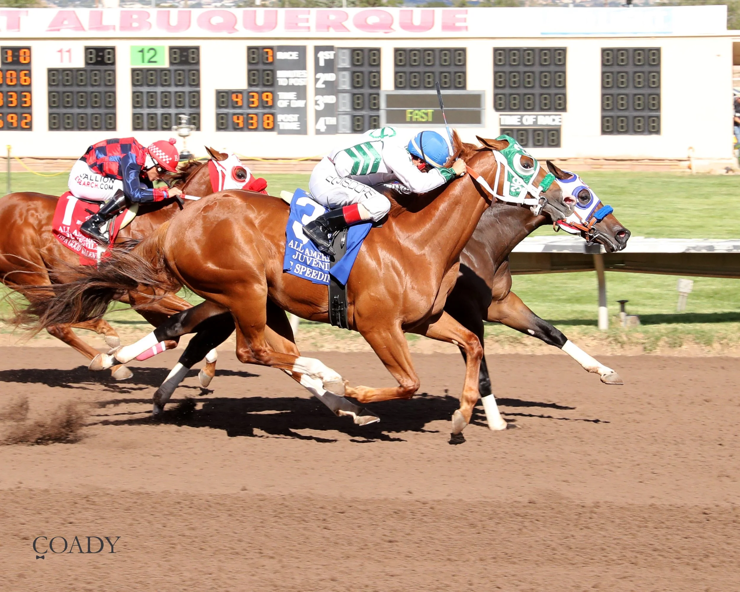 EFFORTLESS FAVORITE - All American Juvenile Stakes - 09-01-25 - R07 - Ruidoso Downs - Finish 01 - Kurtis Coady.jpg