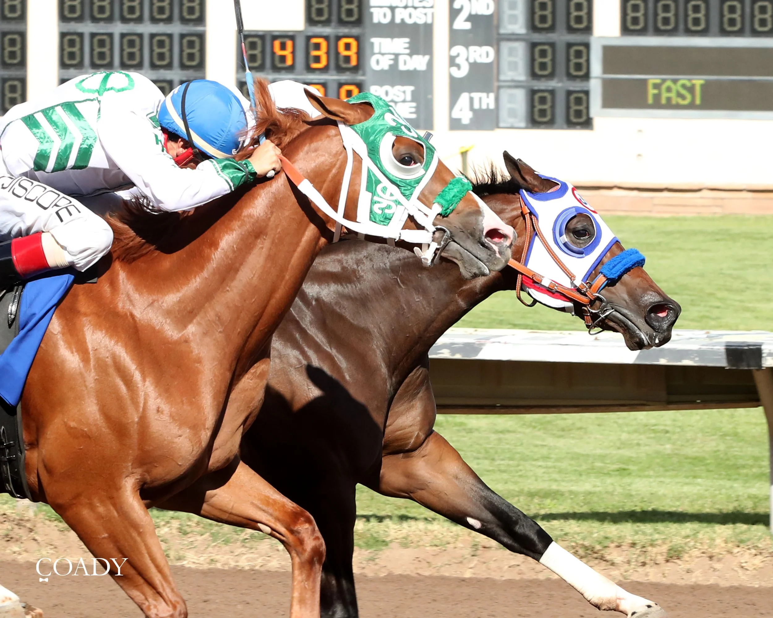 EFFORTLESS FAVORITE - All American Juvenile Stakes - 09-01-25 - R07 - Ruidoso Downs - Finish 02 - Victoria Salazar.jpg