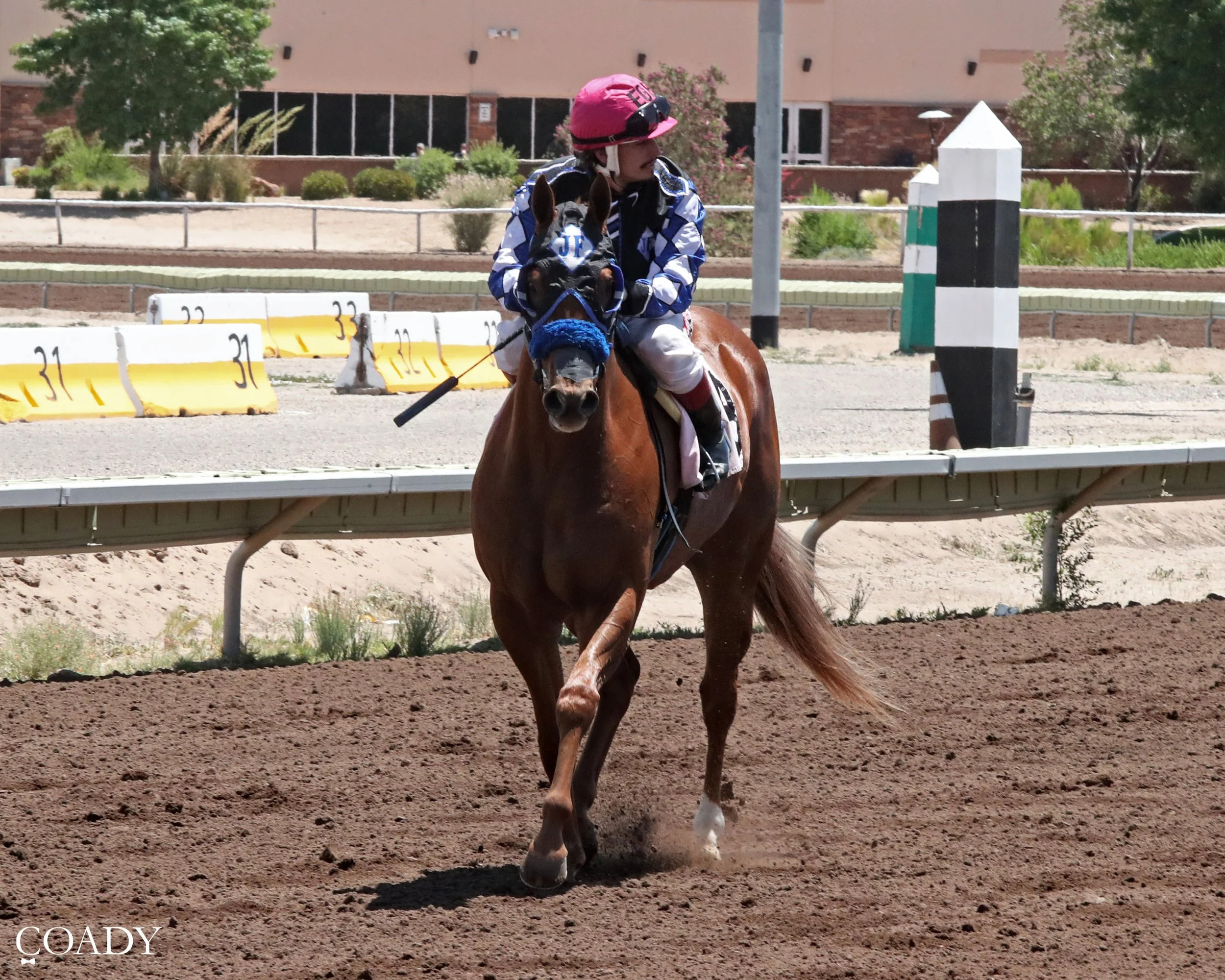 Rf Runaway Cowboy Qualifier 3rd Fastest