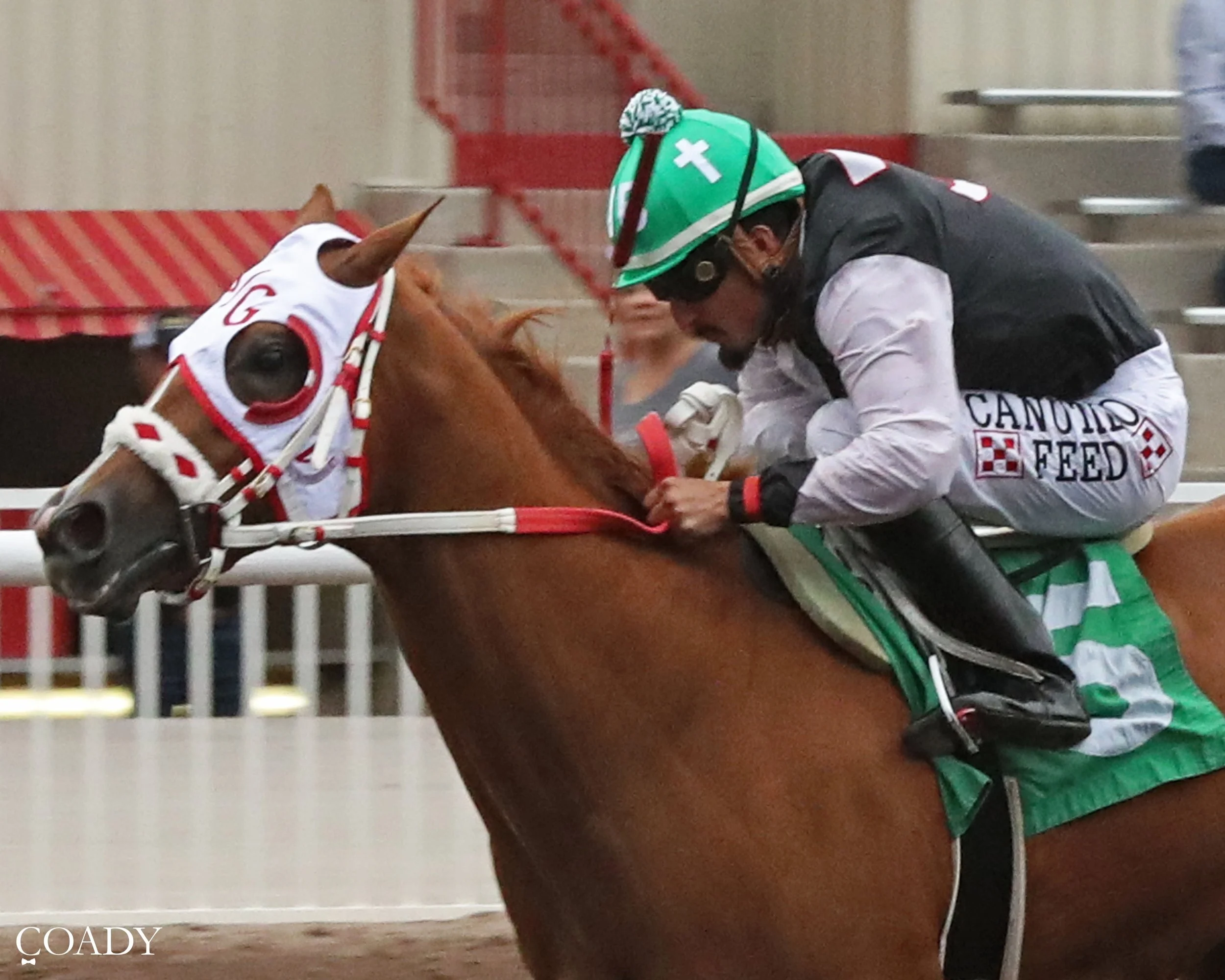 Triple Crown Report - Fri, June 26, 2026