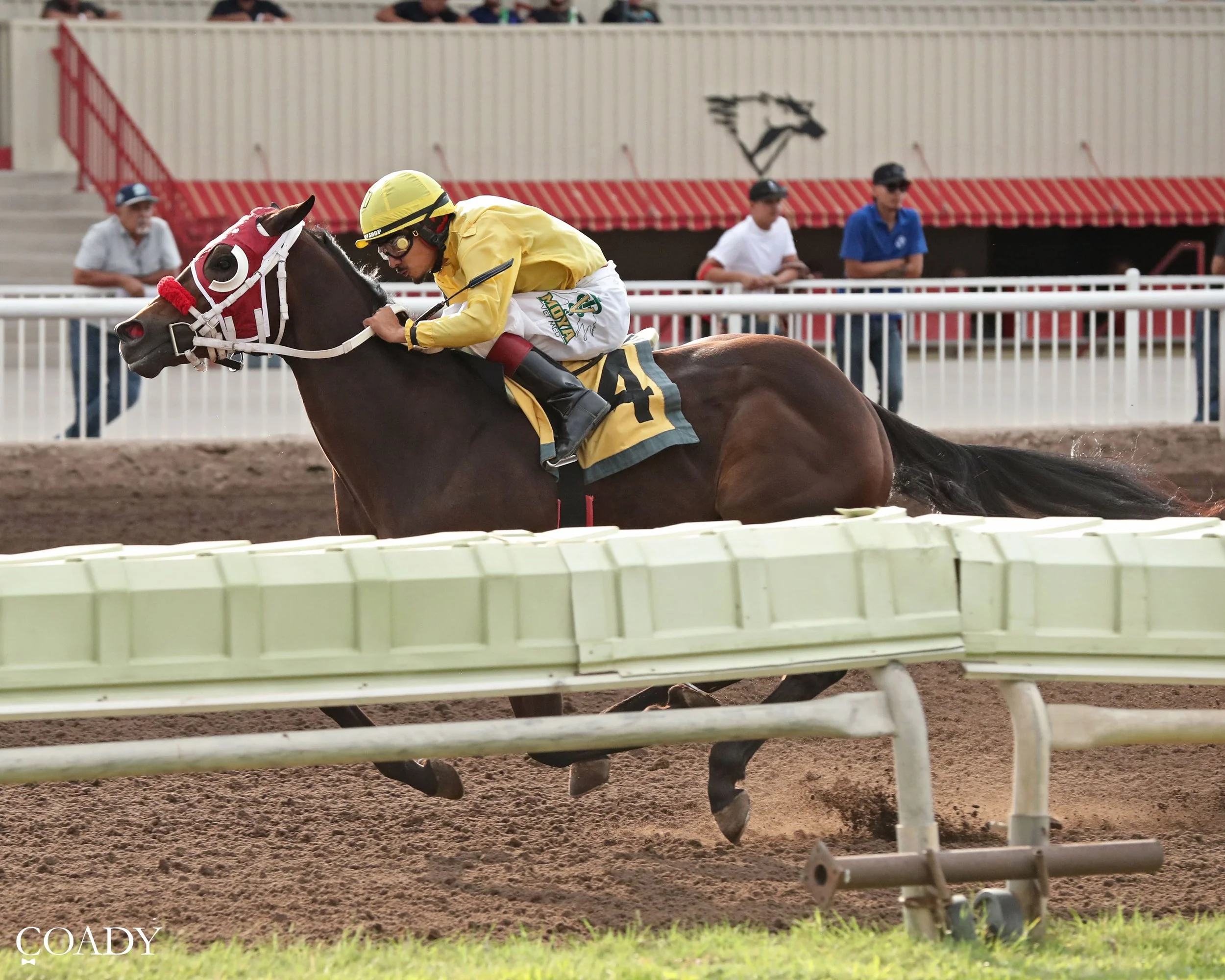 COWBOYS FLYING