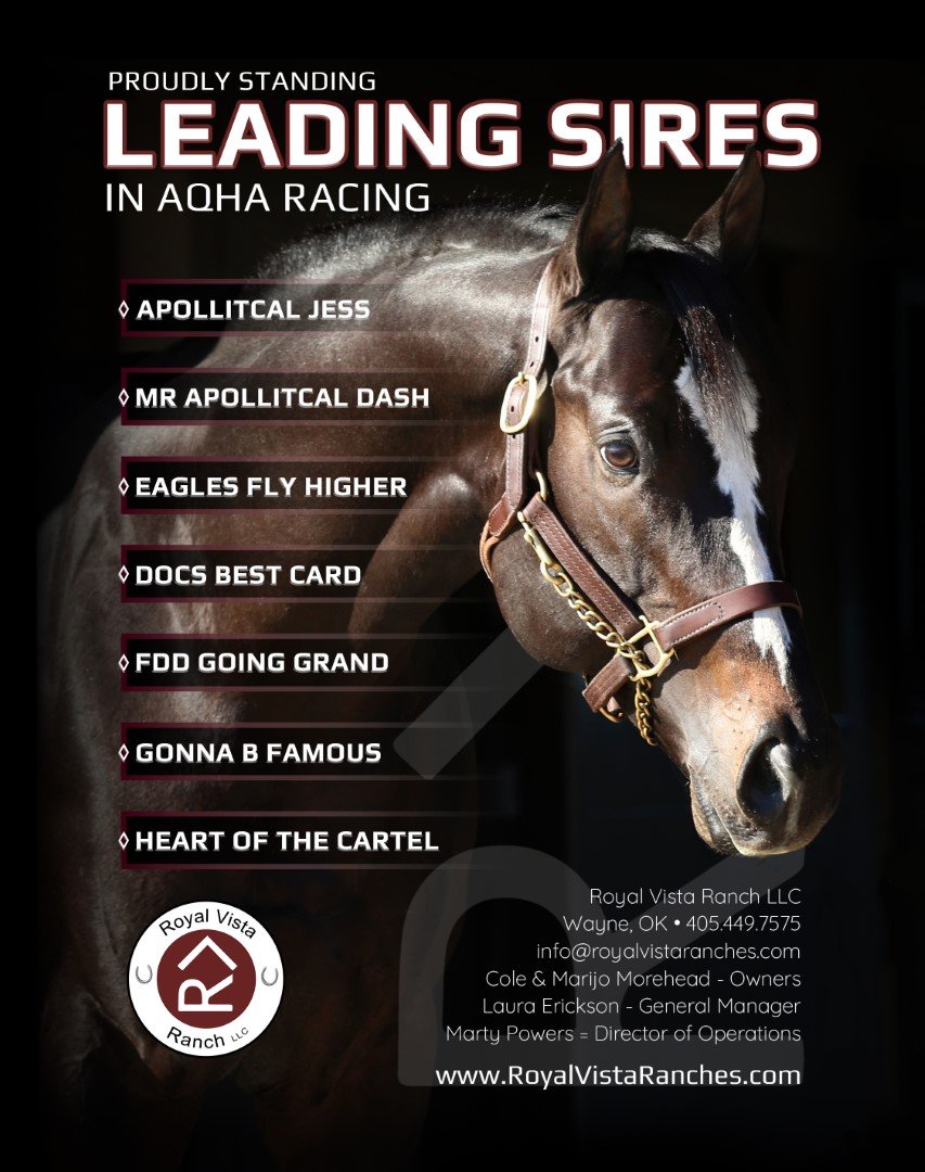 Oscar's Shadow Thoroughbred Horse Profile - Next Race, Form, Stats, News,  Breeding