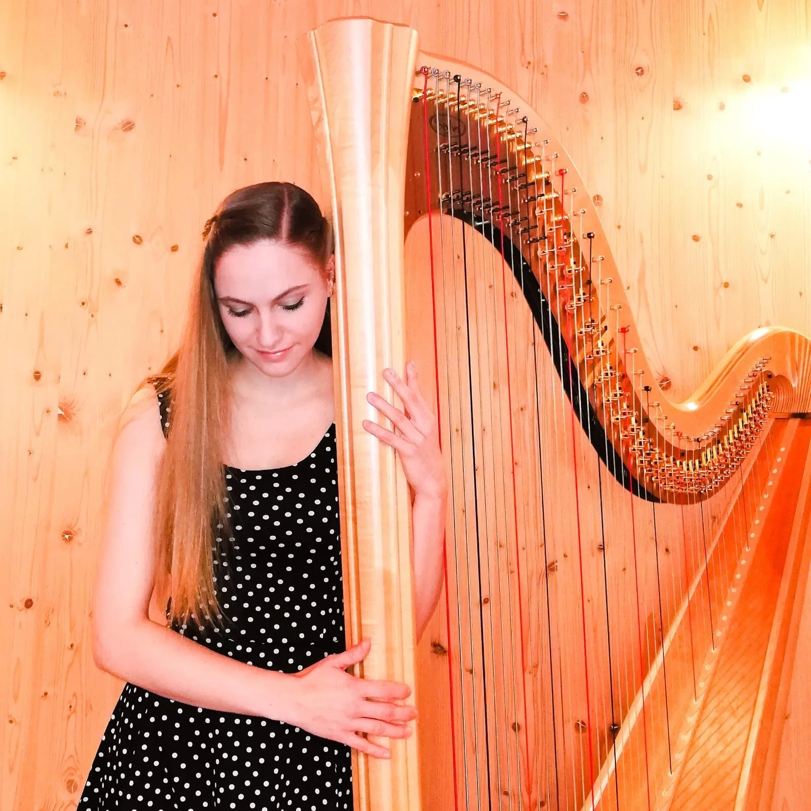 Harfenelfe - Harmonien der besonderen Art