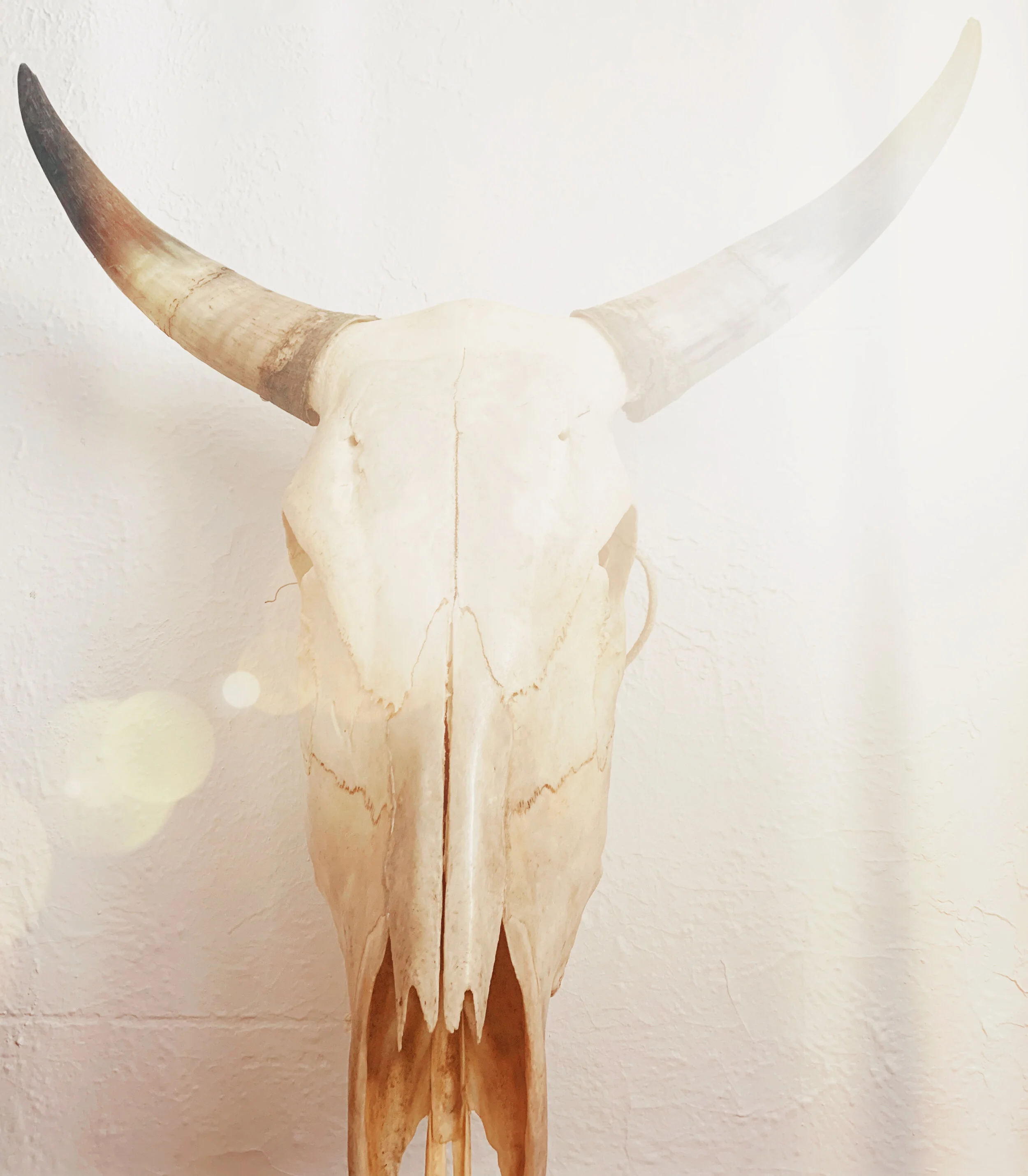 Returning to Trust // Taurus New Moon 2020