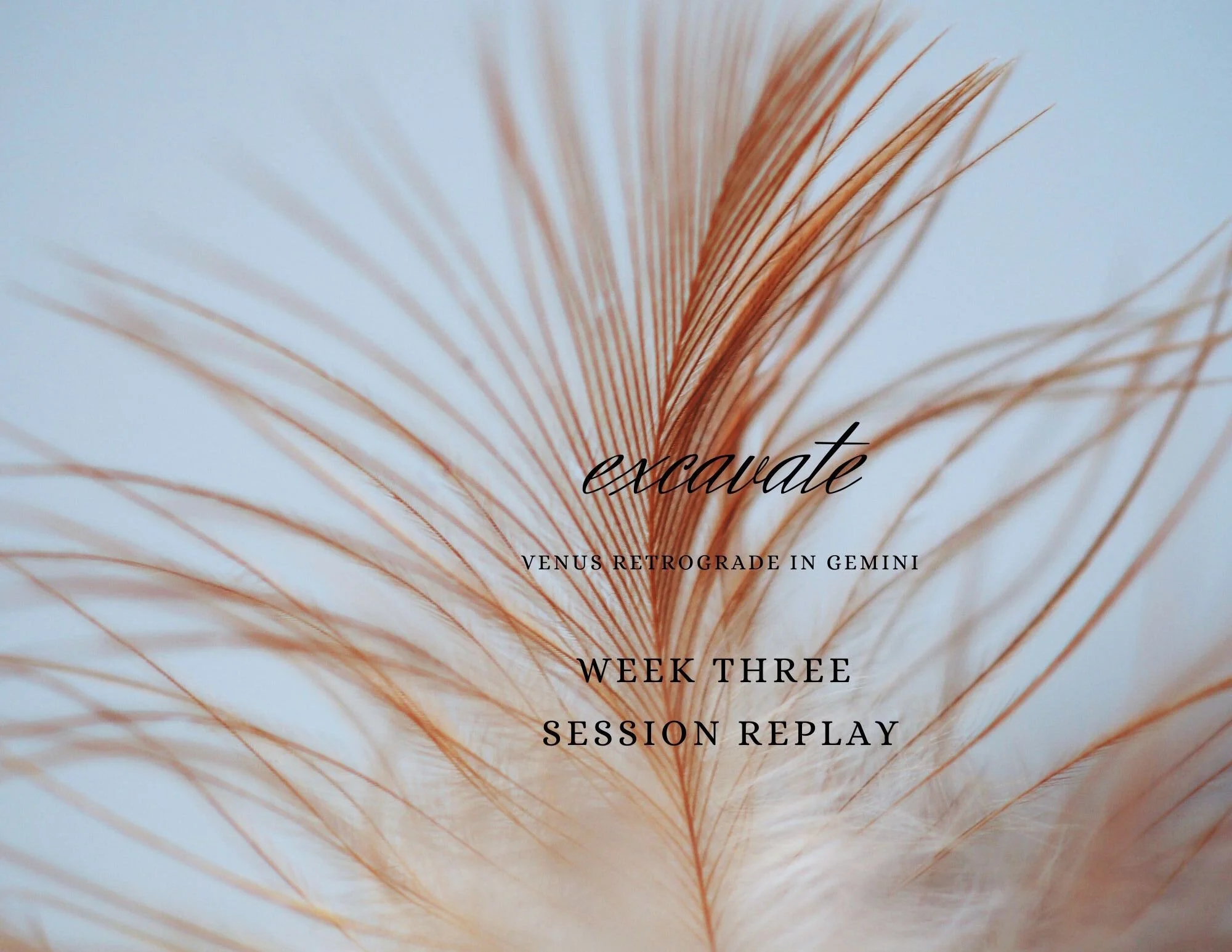 Add a little bit of body text.jpg