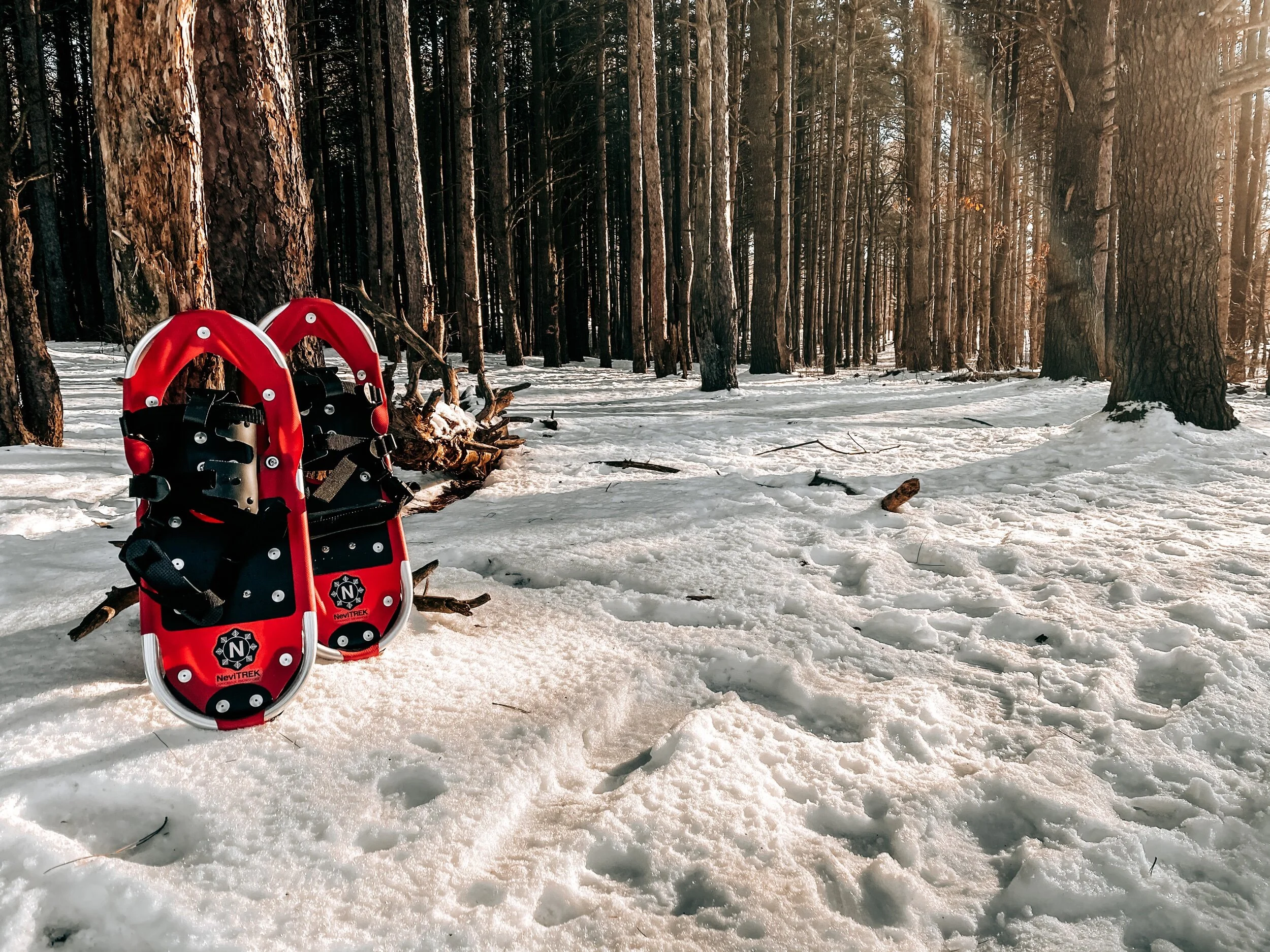 7C8D2970-A140-4C7C-BE2C-1B6C4DB7D36B