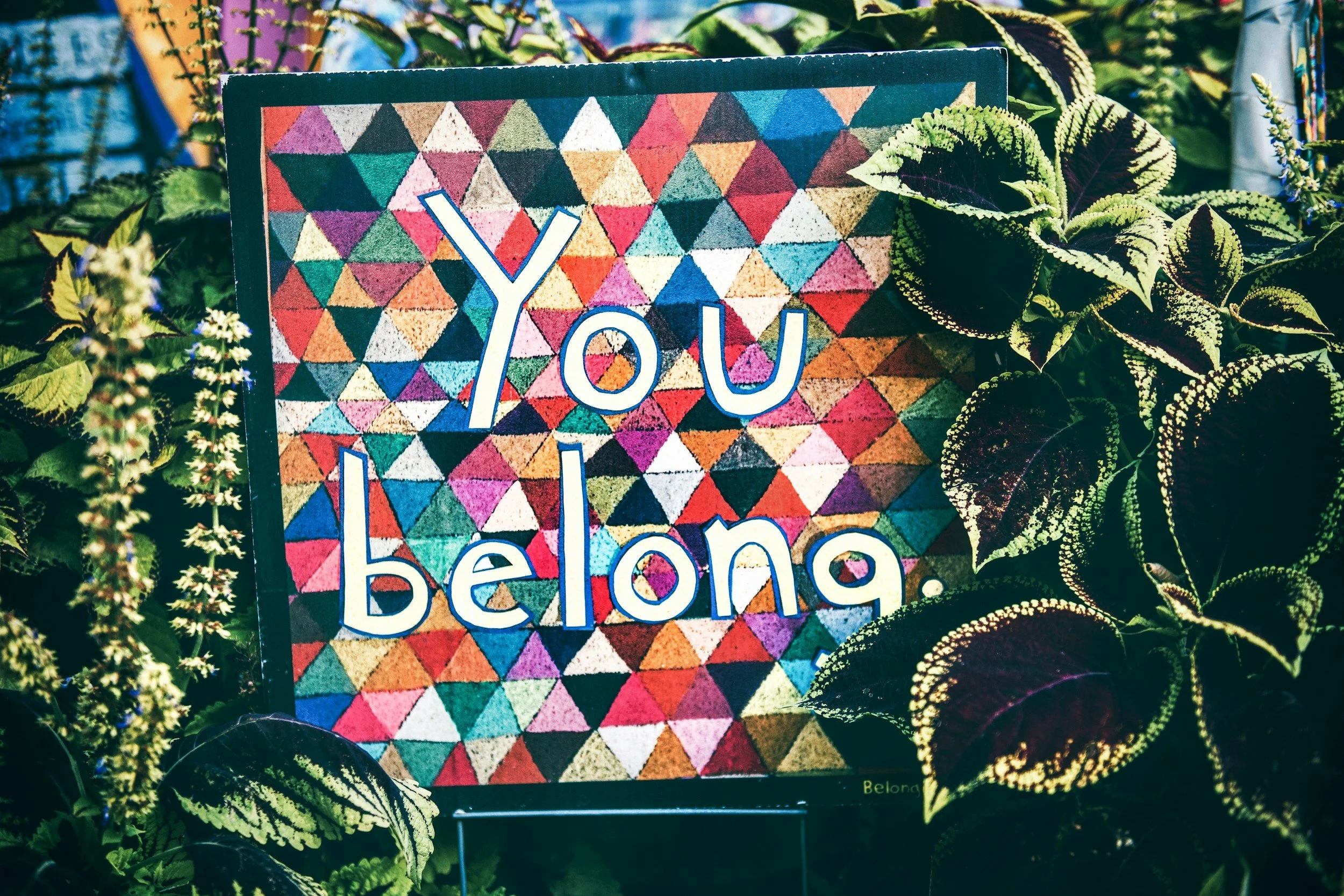 Notice of Nondiscrimination
