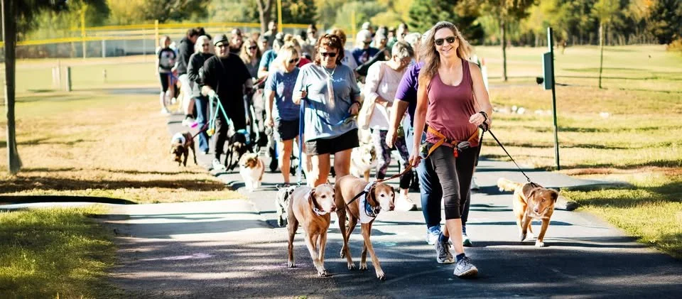 Bark In The Park 3k/5k