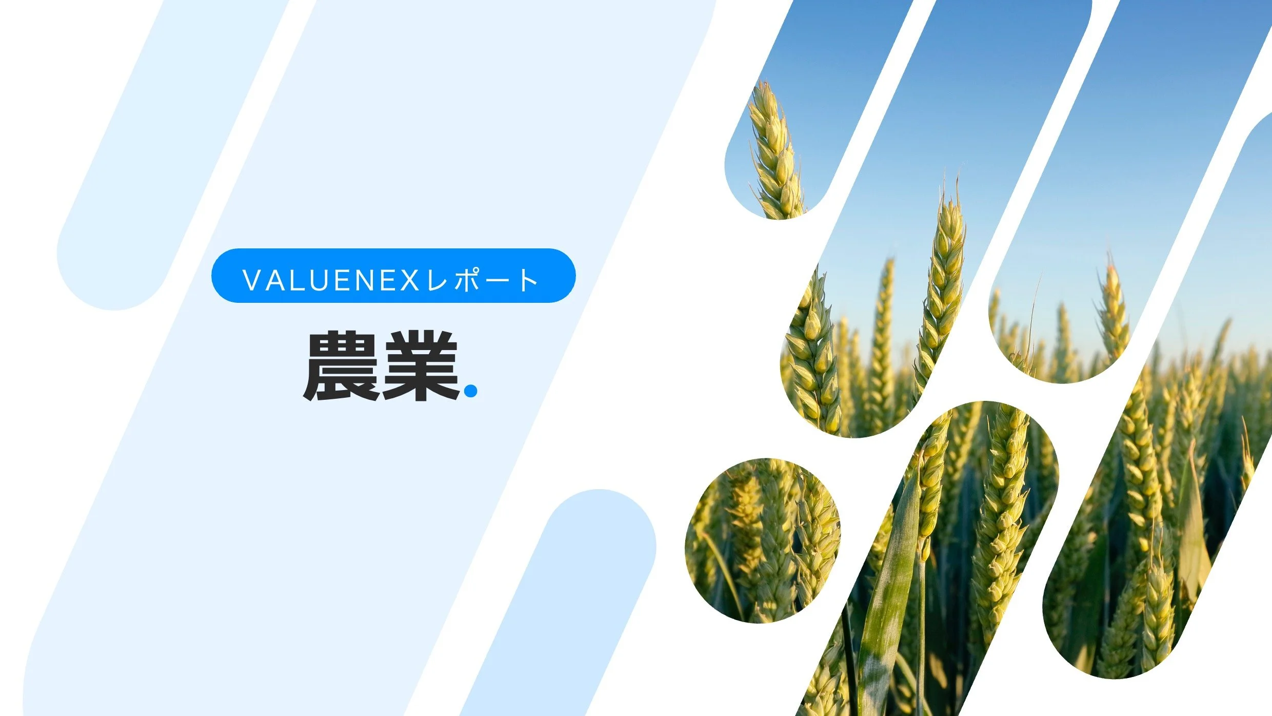 日本における植物登録品種 (野菜) の特性俯瞰