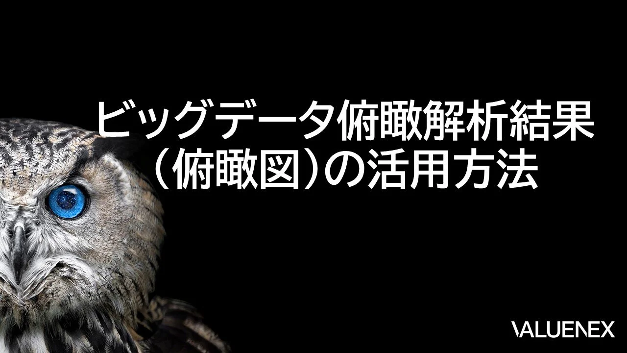 ビッグデータ俯瞰解析結果 (俯瞰図) の活用方法