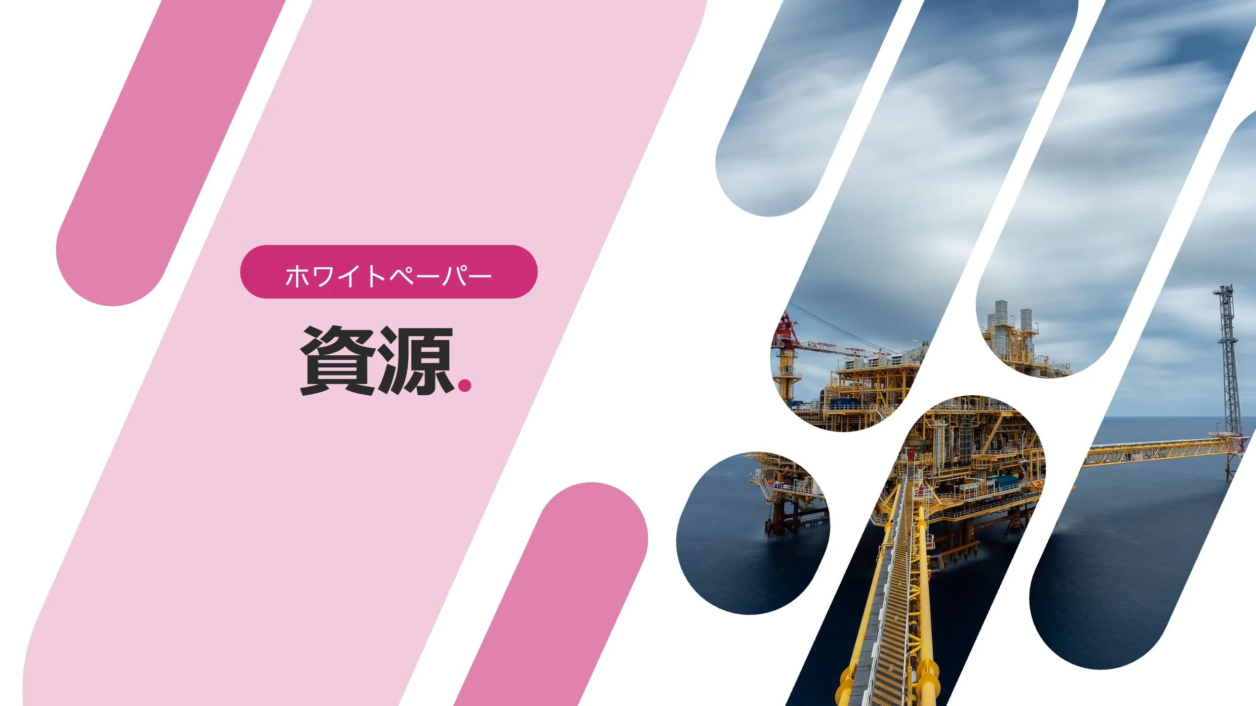 知財情報を用いたR&amp;D戦略の俯瞰分析