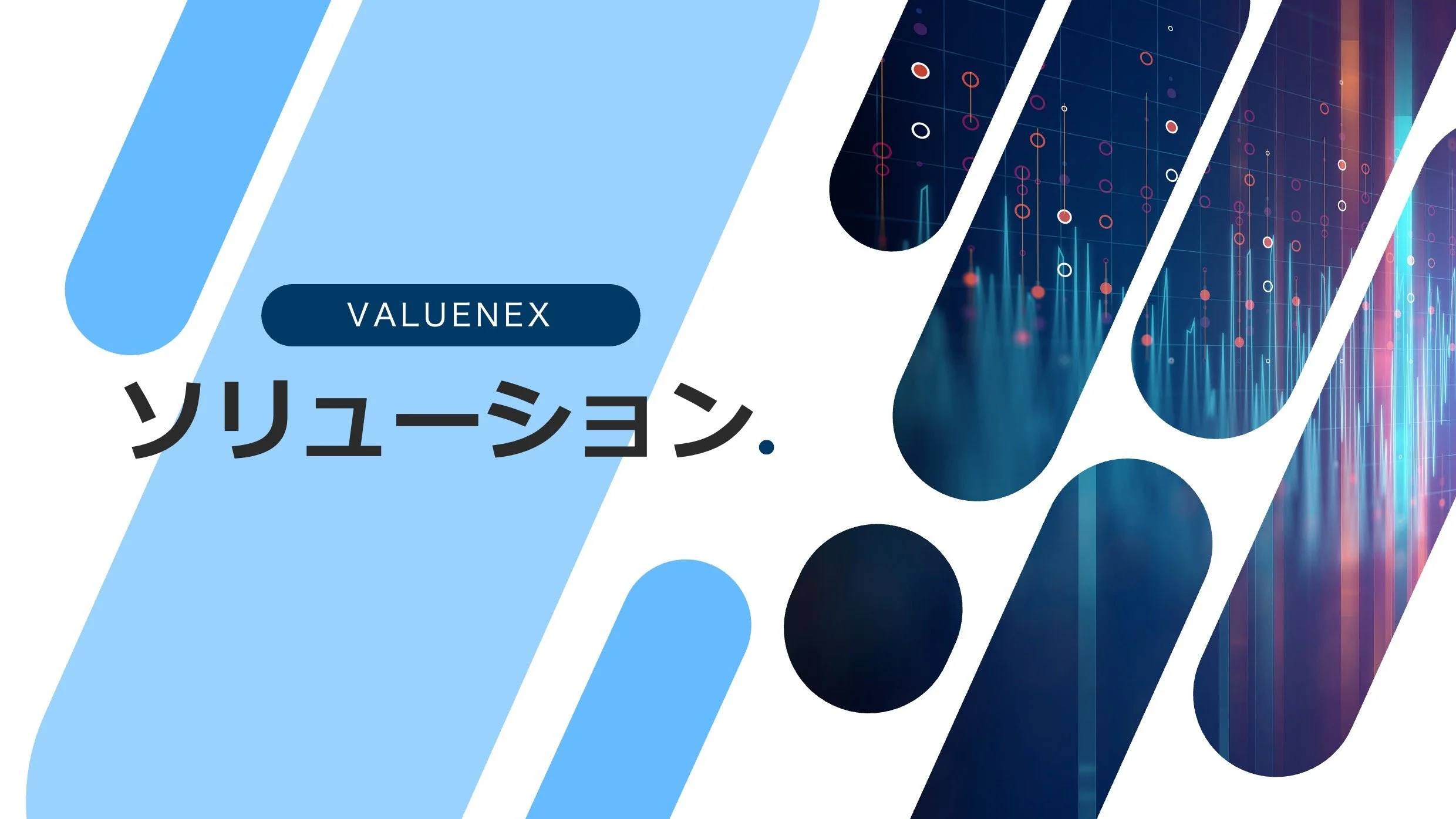 VALUENEX Global Internship Project