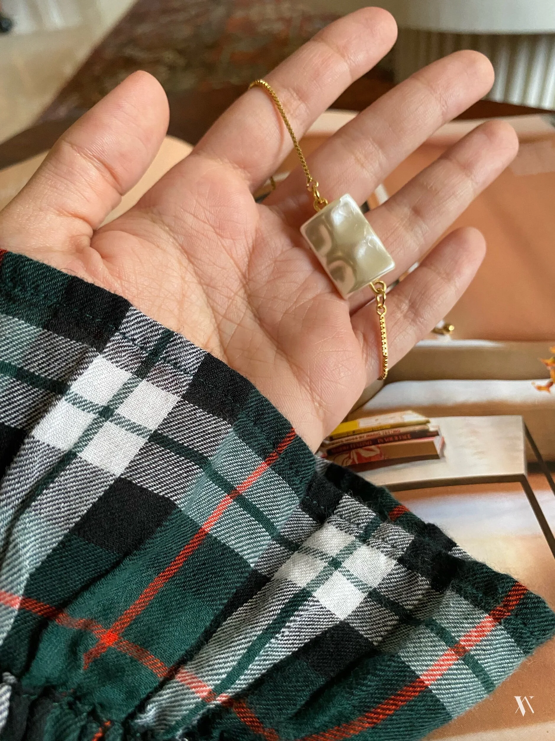 1F95A788-E819-4329-B639-ECA71BA6BB9D