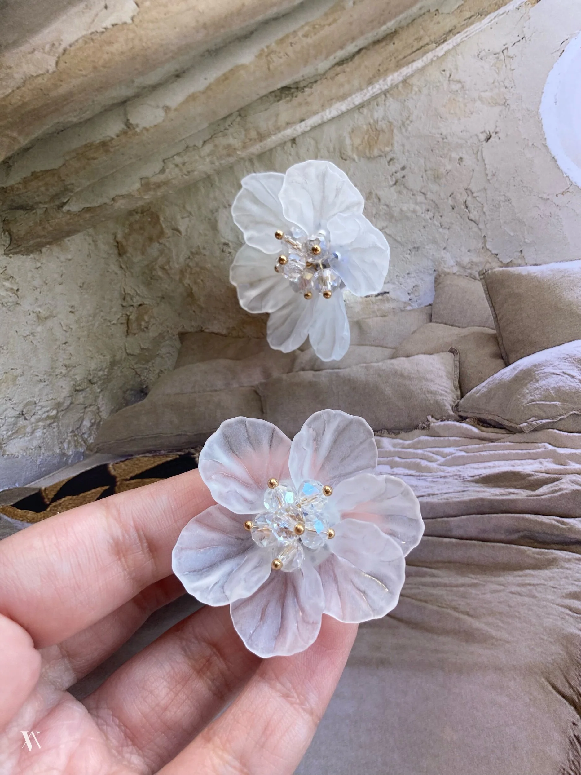 F0969ED8-E781-43F4-965C-C2CE90795451