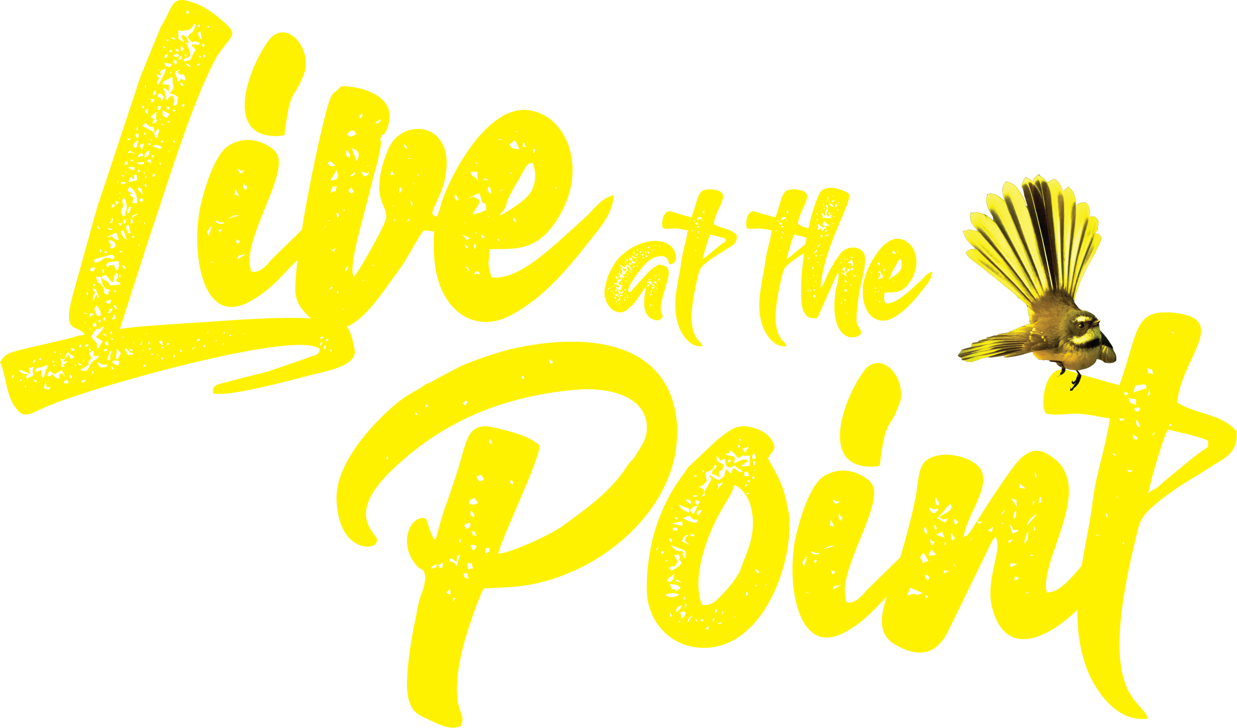 Live At The Point