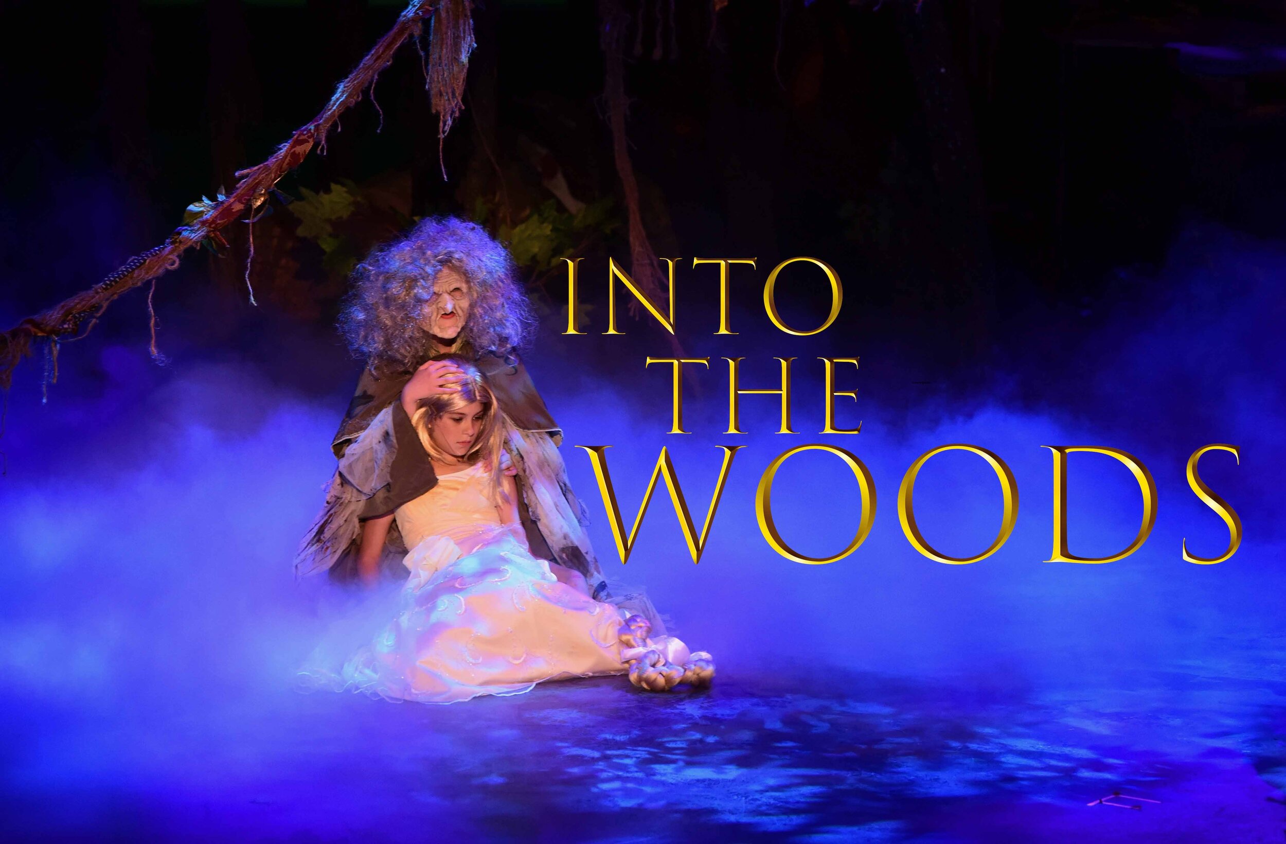 Into the woods cover.jpg