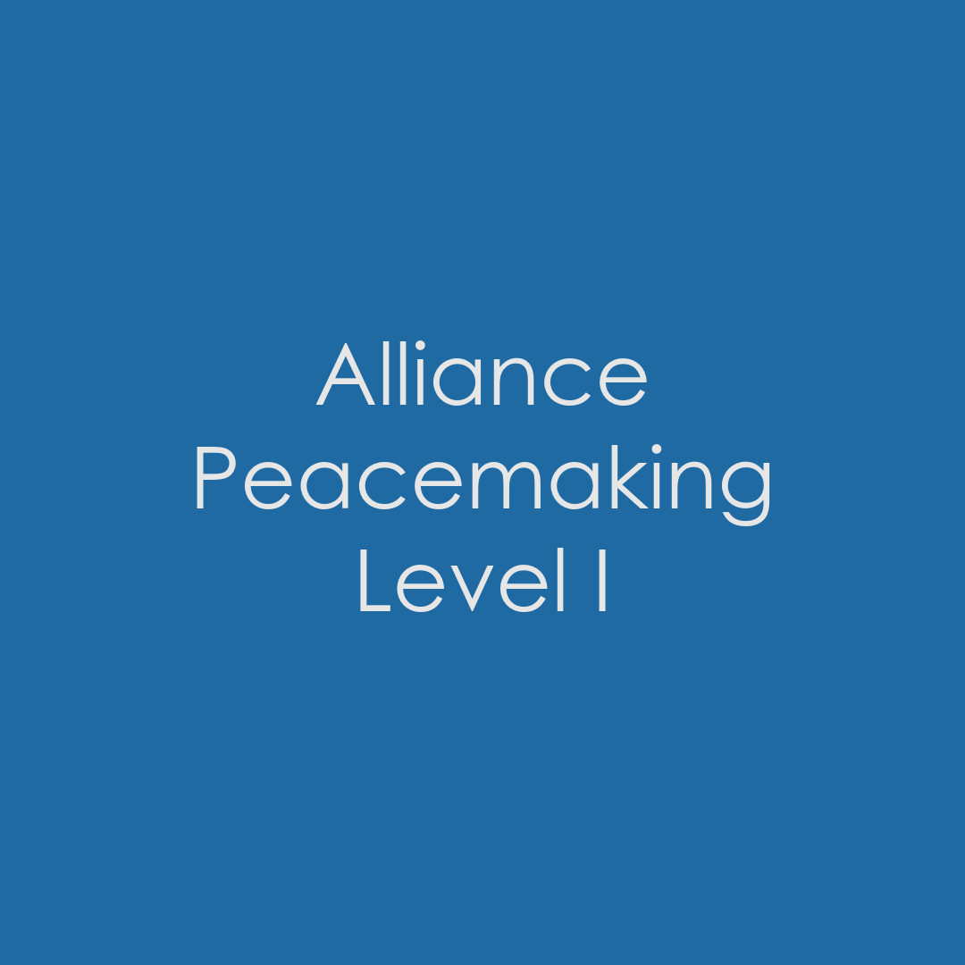 Alliance Peacemaking Conference 11.11.2025