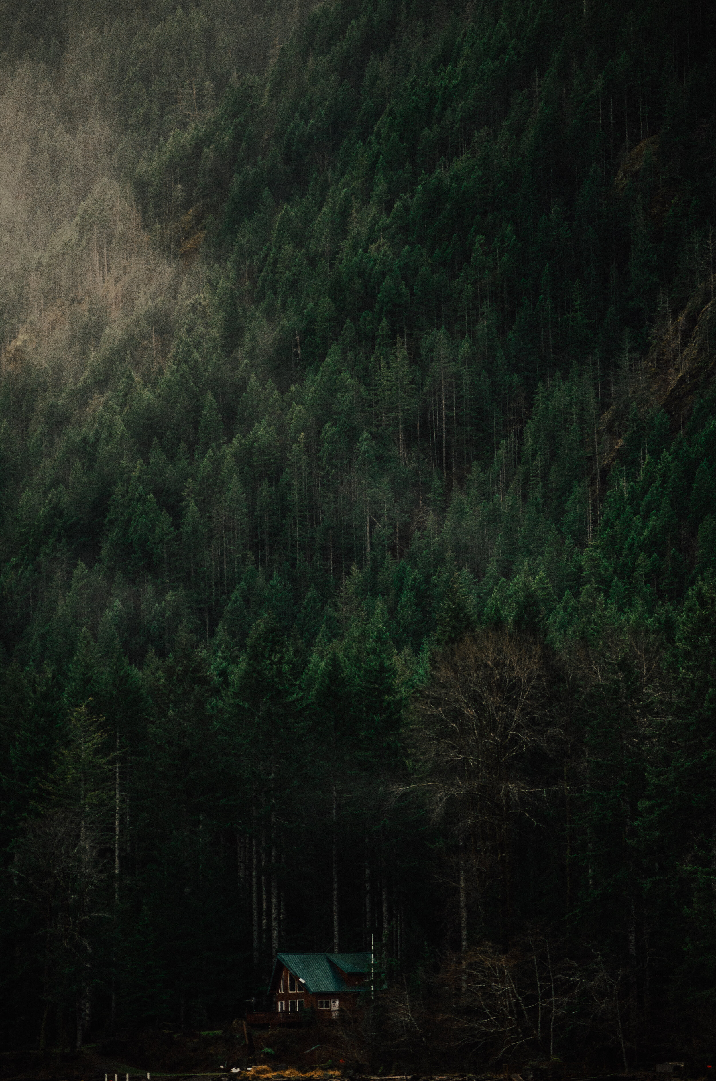  Olympic National Park, Washington 