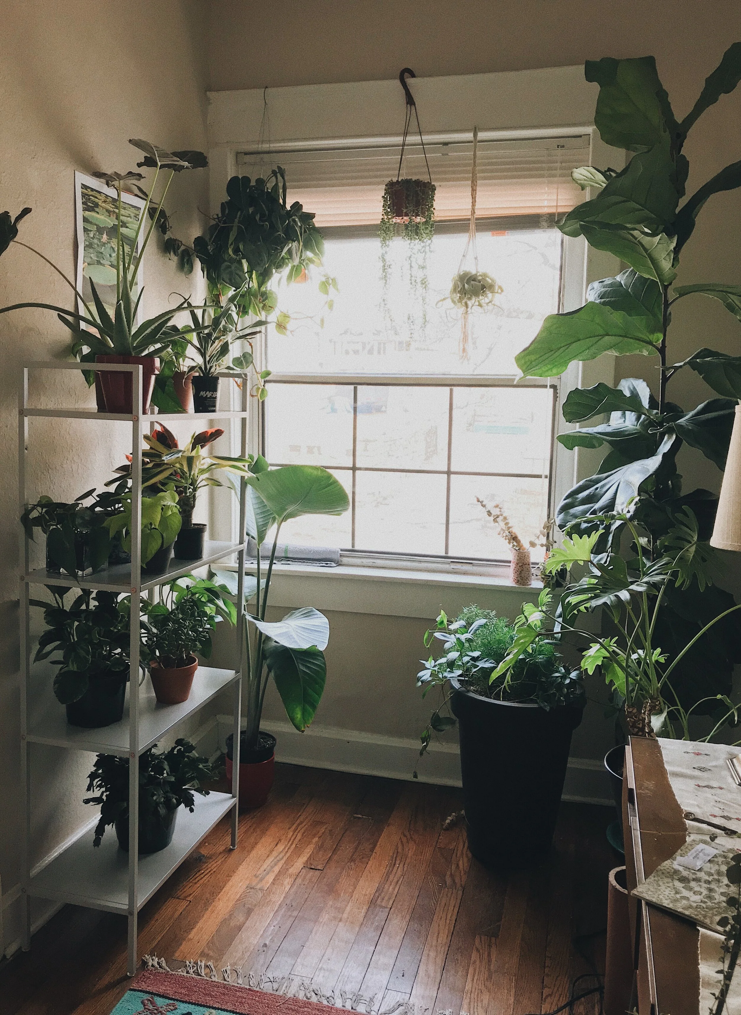  My Apartment :) 