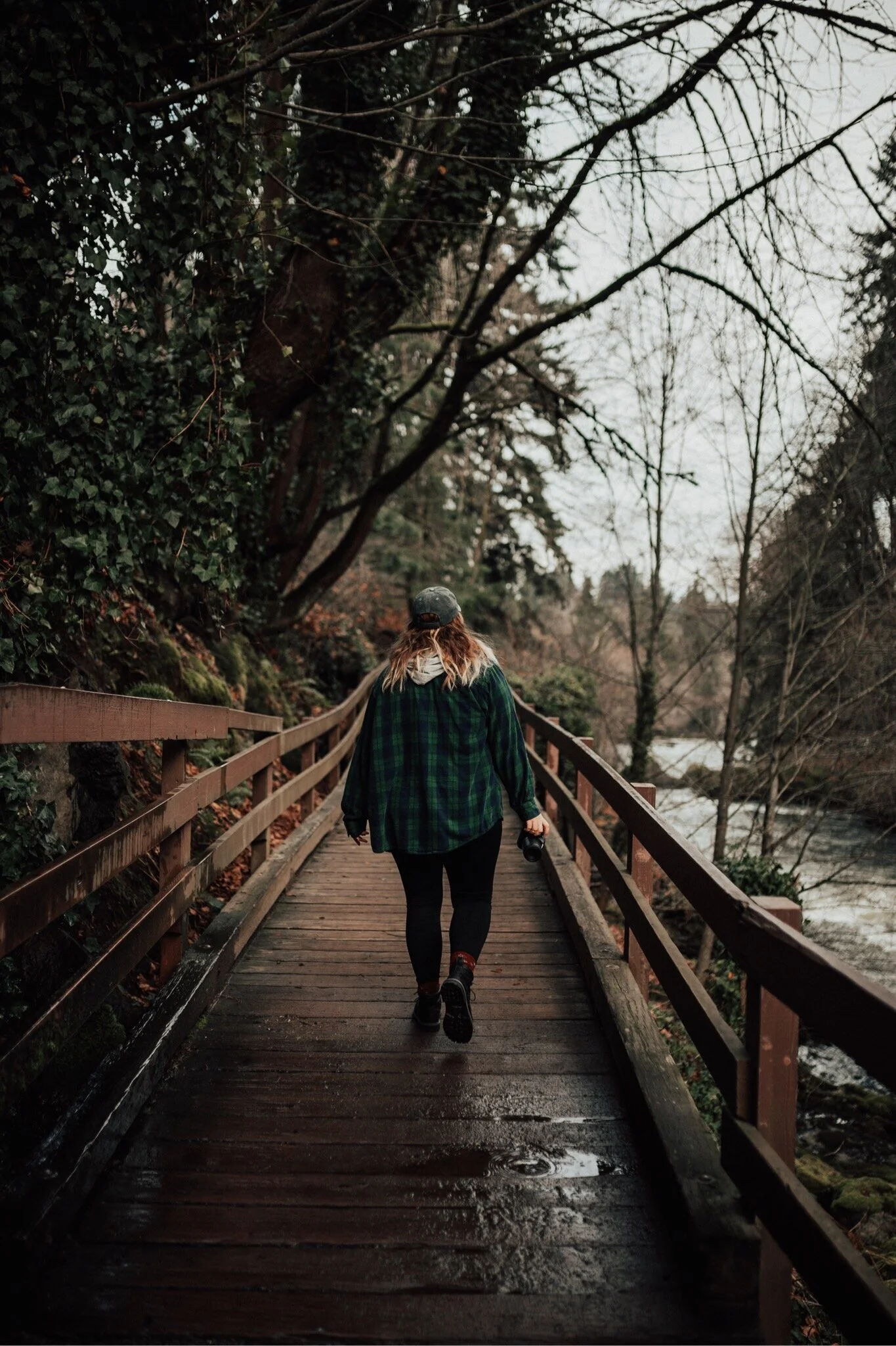  Some forest in Washington 