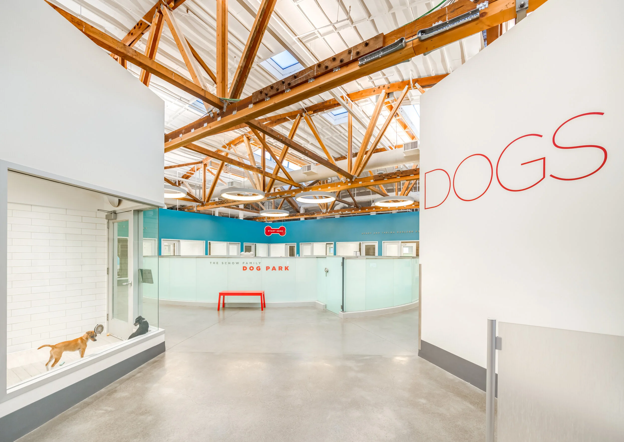SPCA, San Francisco