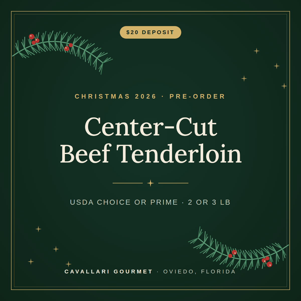 04-beef-tenderloin-roast-center-cut.png
